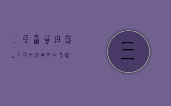 三亚台风，自然之力与城市韧性的考验
