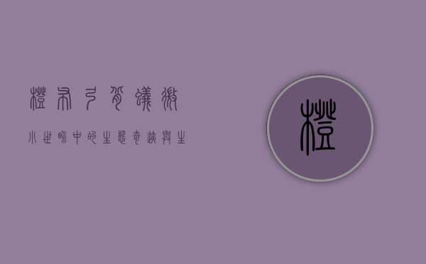 橙布弓背蚁，微小世界中的生态奇迹与生存智慧