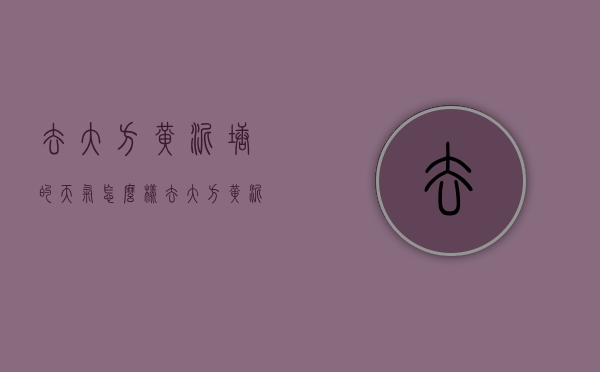 去大方黄泥塘的天气怎么样（去大方黄泥塘的天气怎么样呀）