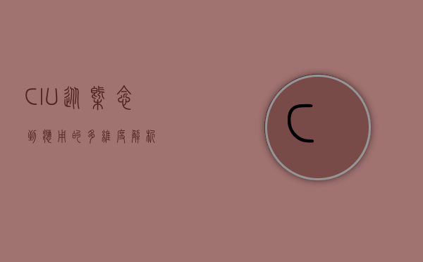 CIU,从概念到应用的多维度解析 CIU,从概念到应用的多维度解析