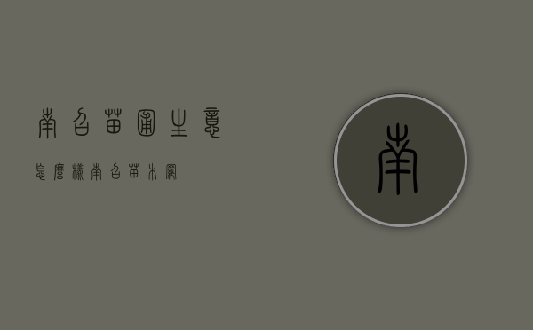 南召苗圃生意怎么样（南召苗木网）