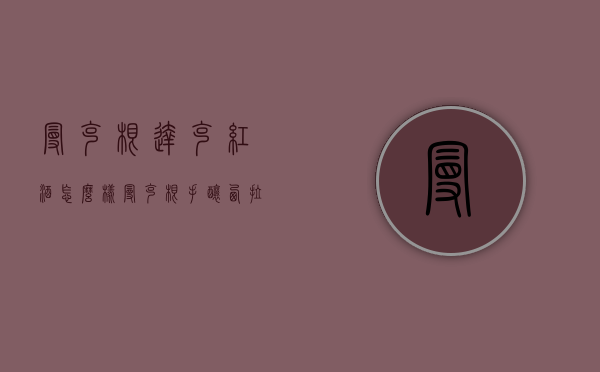 曼克根达克红酒怎么样（曼克根手酿西拉红葡萄酒）