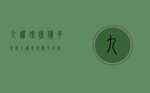 九耀理疗仪多少钱（九耀理疗仪多少钱一次）