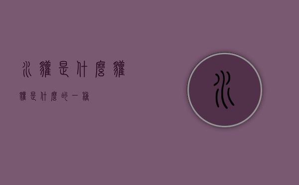 水獾是什么（獾獾是什么的一种）