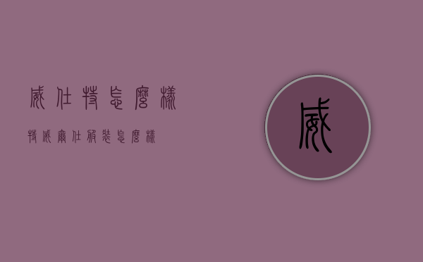 威仕特怎么样（特威尔仕服装怎么样）