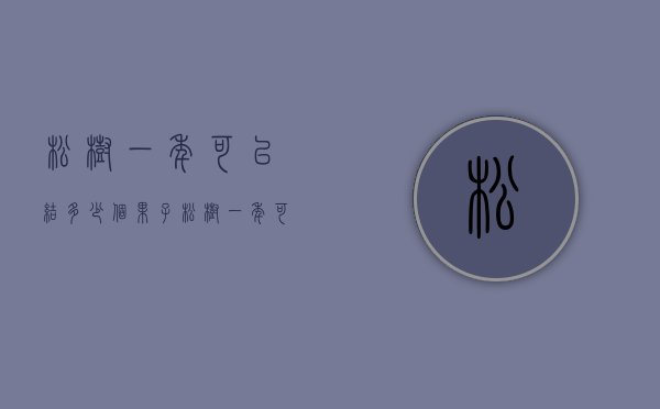 松树一年可以结多少个果子（松树一年可以结多少个果子吃）