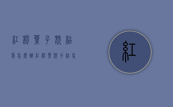 红枫叶子尖枯萎怎么办（红枫叶尖干枯怎么办）