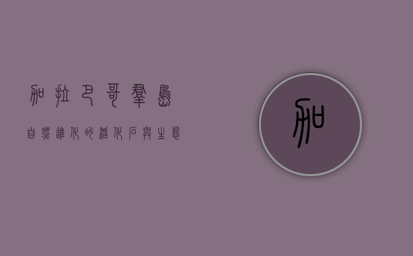 加拉巴哥群岛，自然进化的活化石与生态保护的典范