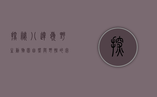 探秘八达岭野生动物园，自然与野性的完美融合