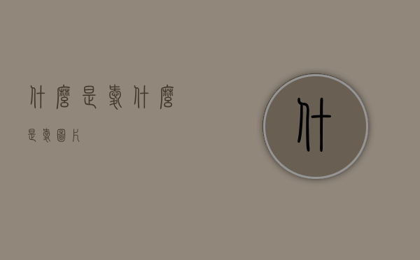 什么是爱（什么是爱图片）
