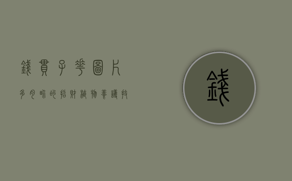 钱串子花图片，多肉界的招财植物，养护技巧与观赏价值全解析