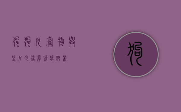 狗狗女，宠物与主人的深厚情感纽带