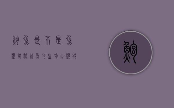 鲍鱼是不是鱼类？揭秘鲍鱼的生物分类与特性