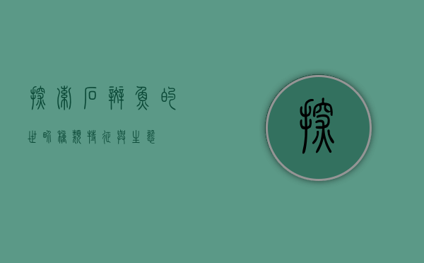 探索石斑鱼的世界，种类、特征与生态