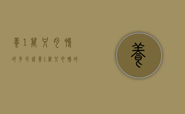 养1万只肉鸭的多少钱（养1万只肉鸭的多少钱一个月）