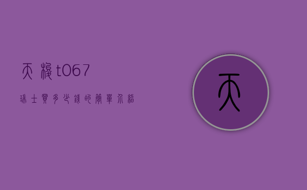 天梭t067瑞士买多少钱的简单介绍