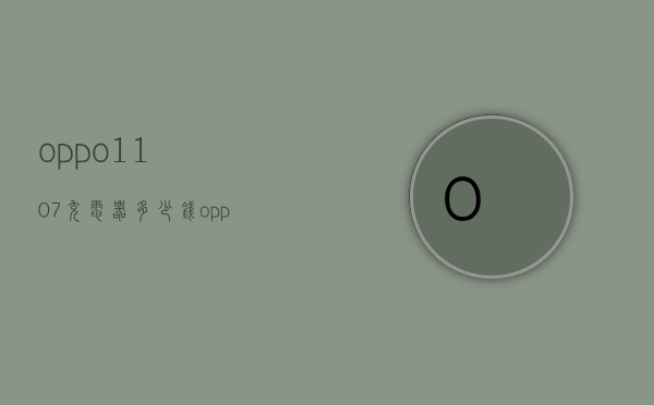 oppo1107充电器多少钱（oppo110w充电器）