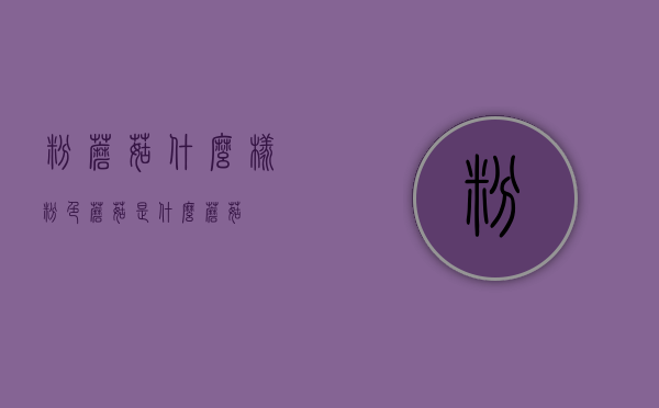 粉蘑菇什么样（粉色蘑菇是什么蘑菇）