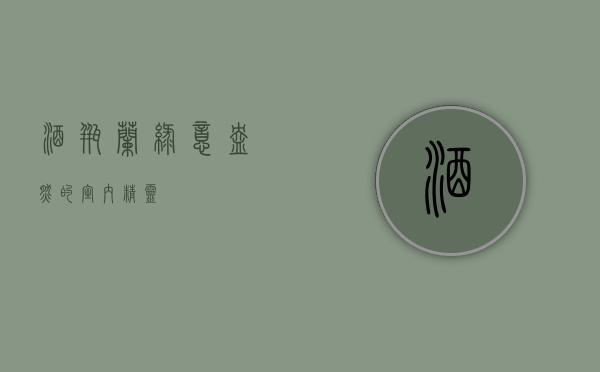 酒瓶兰，绿意盎然的室内精灵