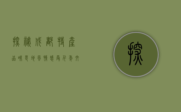 探秘成都特产，品味蜀地风情，感受千年文化