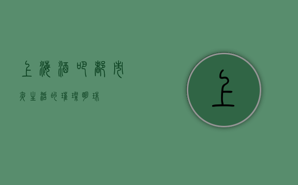 上海酒吧，都市夜生活的璀璨明珠