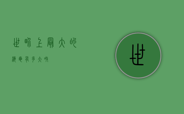 世界上最大的海龟有多大呀？