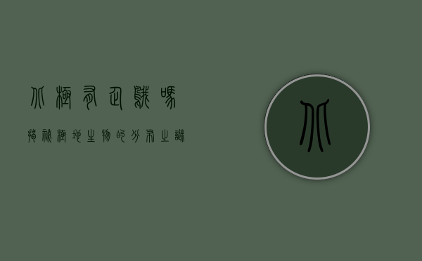 北极有企鹅吗？揭秘极地生物的分布之谜