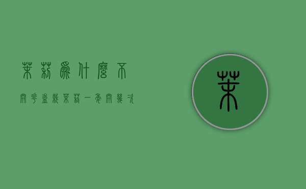 茉莉为什么不开花 盆栽茉莉一年开几次花（我家茉莉为什么不开花）