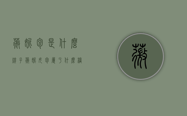 薇妮包是什么牌子（薇妮女包属于什么档次）