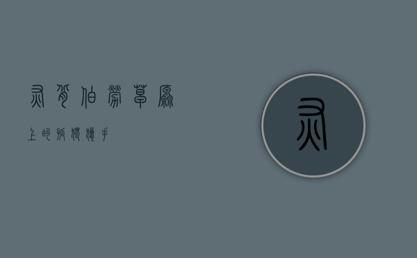 灰背伯劳，草原上的孤独猎手