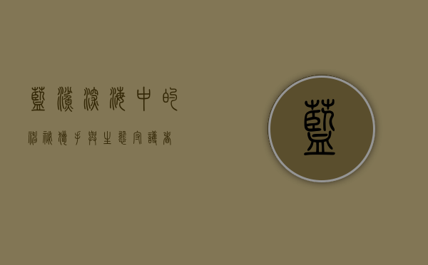 蓝鲨，深海中的神秘猎手与生态守护者