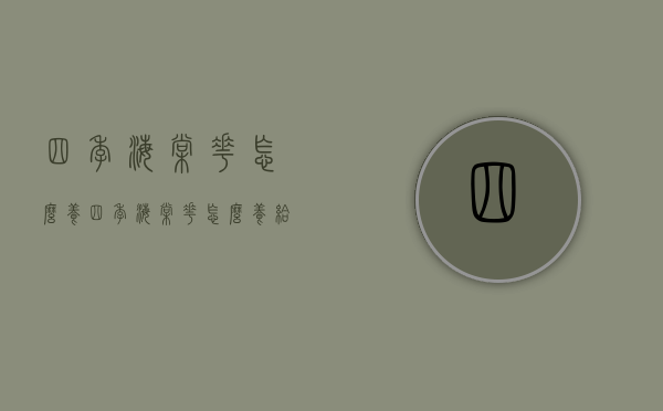 四季海棠花怎么养（四季海棠花怎么养给我讲）