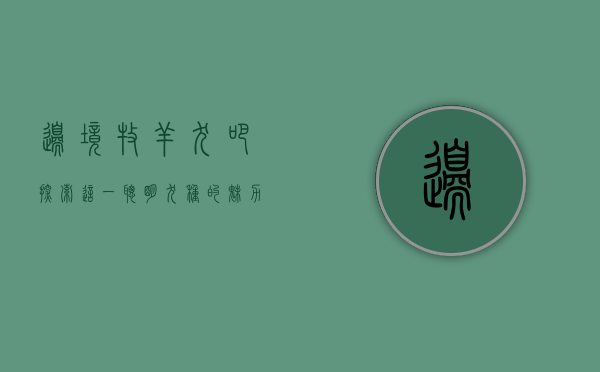 边境牧羊犬吧，探索这一聪明犬种的魅力与养护之道