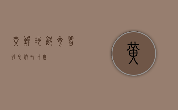 黄鳝的饮食习性，它们吃什么？