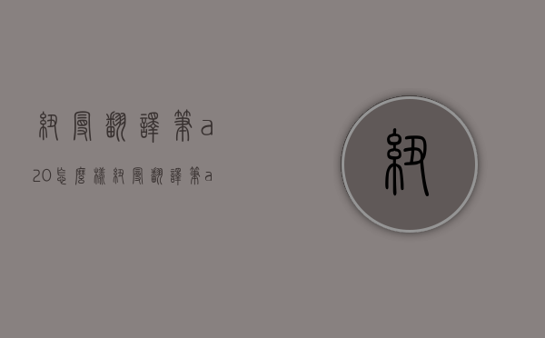 纽曼翻译笔a20怎么样（纽曼翻译笔a20怎么样好用吗）