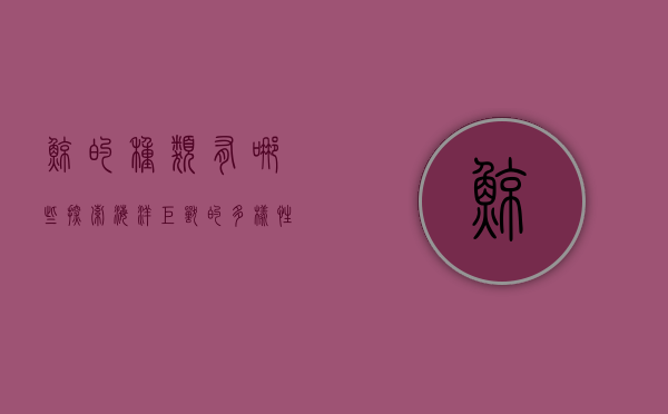 鲸的种类有哪些，探索海洋巨兽的多样性