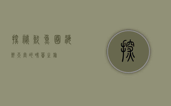 探秘鲅鱼圈，海鲜天堂的味蕾之旅
