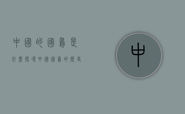 中国的国鸟是什么？探寻中国国鸟的历史与象征意义