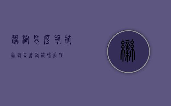 栾树怎么种植（栾树怎么种植和管理）