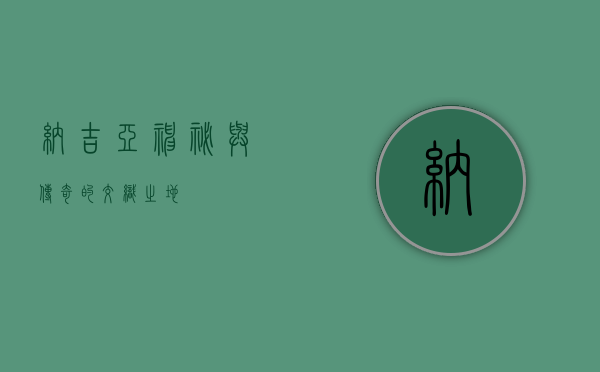 纳吉亚，神秘与传奇的交织之地