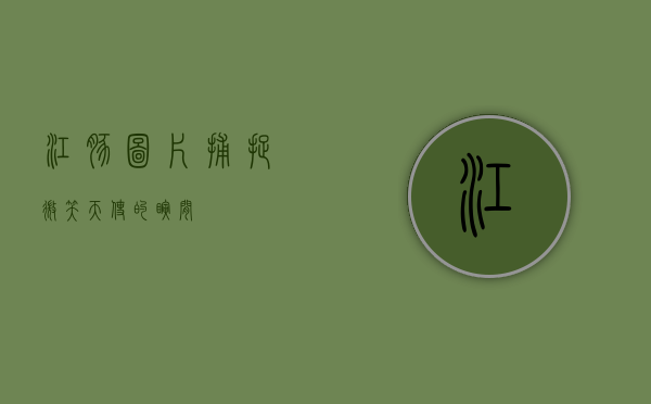 江豚图片，捕捉微笑天使的瞬间