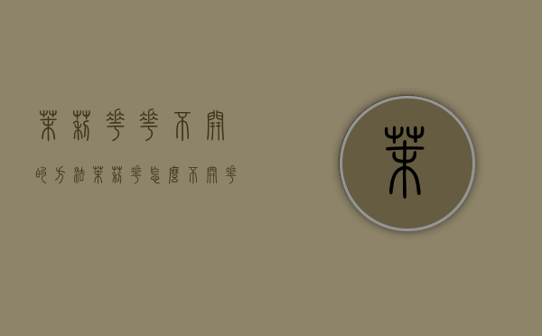 茉莉花花不开的方法（茉莉花怎么不开花）