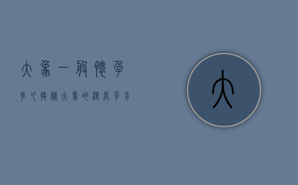 大象一般怀孕多久，揭秘大象的漫长孕育之旅