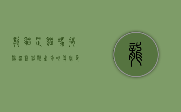 龙猫是猫吗？揭秘这种神秘生物的真实身份