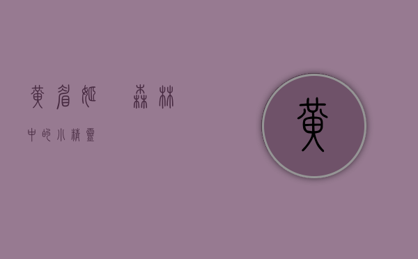 黄眉姬鹟，森林中的小精灵
