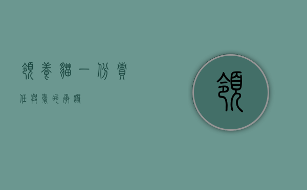 领养猫，一份责任与爱的承诺