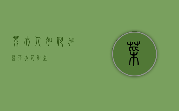 菜夫人如何加盟（茶夫人加盟）