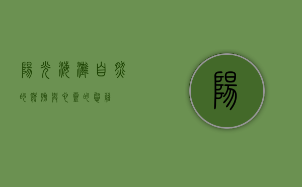 阳光海滩，自然的馈赠与心灵的慰藉