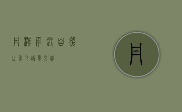 丹枫雨露，自然之美的诗意交响
