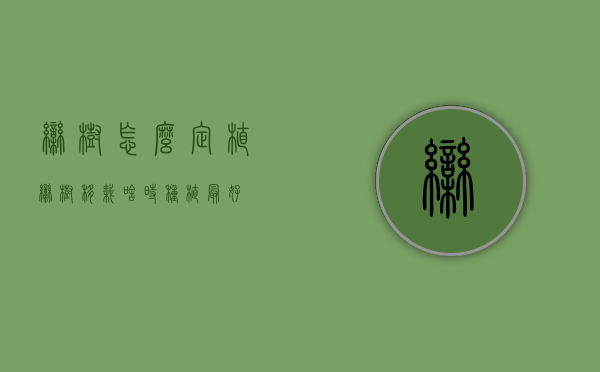 栾树怎么定植（栾树移栽啥时种植最好）